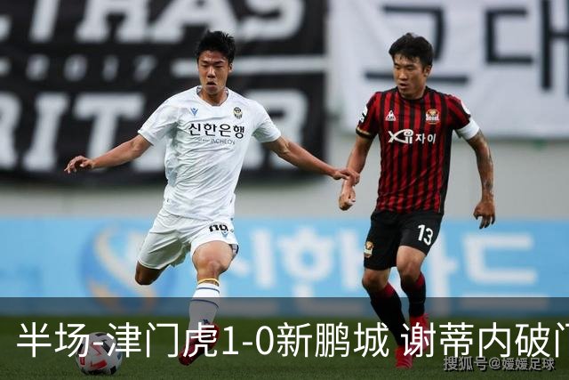 半场-津门虎1-0新鹏城 谢蒂内破门巴顿长传送助攻戴伟浚伤退