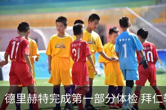 德里赫特完成第一部分体检 拜仁转会支出欧洲第一